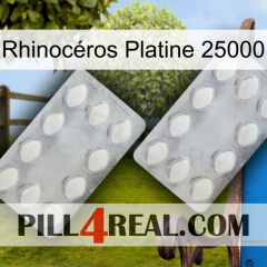 Rhinocéros Platine 25000 17